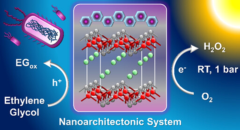 Nanoarchitectonic BiOCl–purple membrane hybrid converts O₂ to H₂O₂ while simultaneously upgrading ethylene glycol into value-added chemicals.