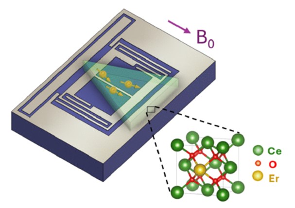 Schematic of the coupling of Er3+ spins (yellow) in CeO2 film (glassy green) with the niobium (gray) superconducting LC resonator on sapphire (dark blue).