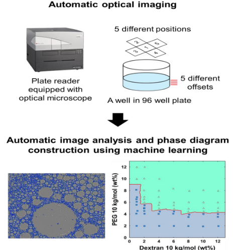 Automatic image analysis and phase diagram construction using machine learning.
