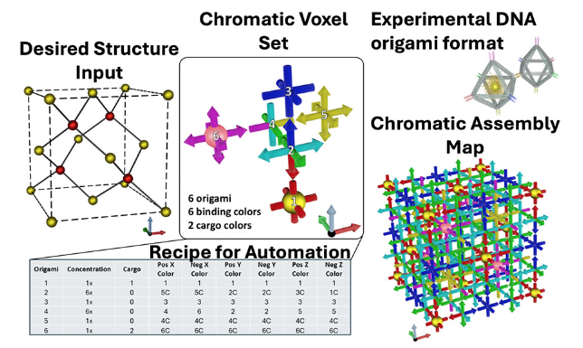The MOSES mapping algorithm takes a target 3D lattice as input and, via inverse design, outputs a minimal materials design and a color-coded (chromatic) bond map — a complete assembly recipe.