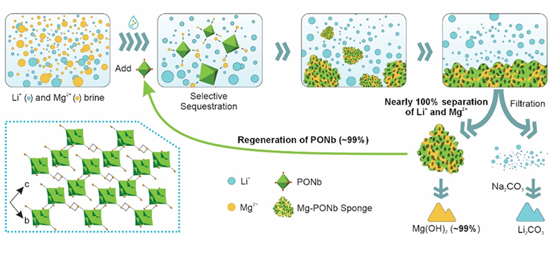 Schematic of the PONb-based selective sequestration process.