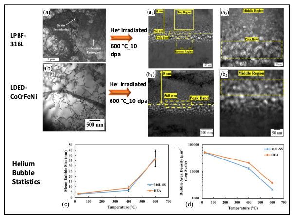 (a, b) Pre-irradiation TEM images of LPBF 316L and LDED CoCrFeNi high-entropy alloy (HEA), respectively. (a1, a2) and (b1, b2) Corresponding TEM images of LPBF 316L and LDED CoCrFeNi HEA after He irradiation at 600 °C to 10 dpa. (c, d) Statistical results of helium bubbles, including mean bubble size and bubble area density.