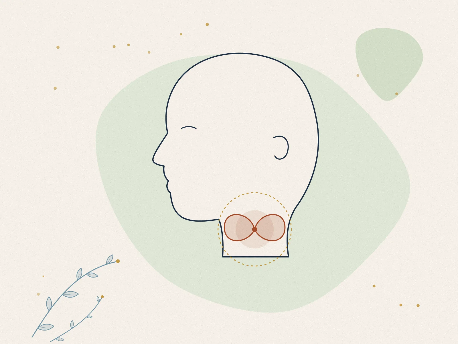 Illustration of thyroid disorders, treated at Omnia Lifestyle clinic in Chiswick, West London
