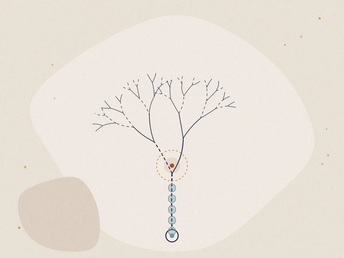 Multiple Sclerosis treatment in Chiswick, London at Omnia Lifestyle