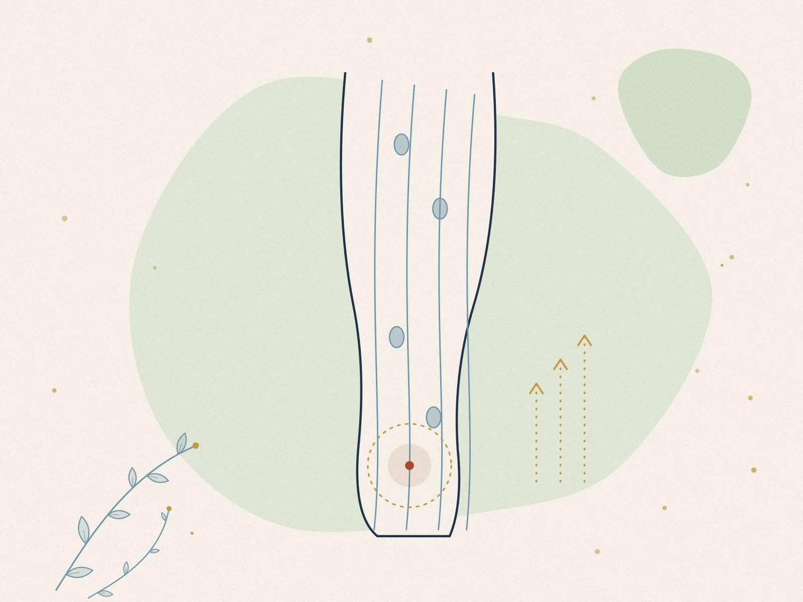 Illustration of lymphoedema, treated at Omnia Lifestyle clinic in Chiswick, West London