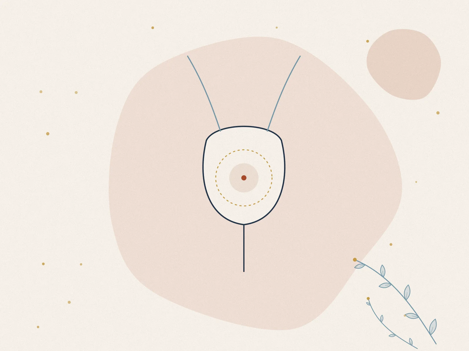 Illustration of interstitial cystitis, treated at Omnia Lifestyle clinic in Chiswick, West London