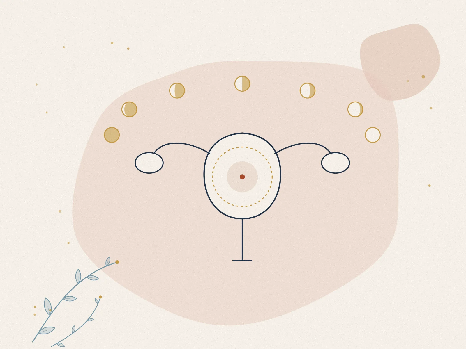 Illustration of menstrual disorders, treated at Omnia Lifestyle clinic in Chiswick, West London