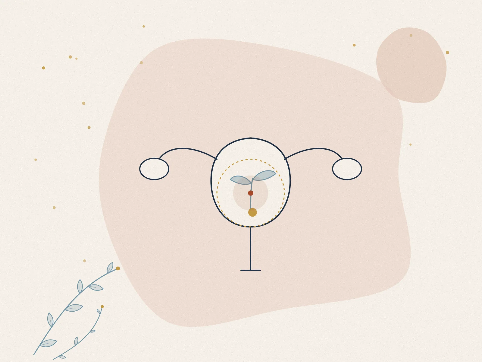 Illustration of fertility, treated at Omnia Lifestyle clinic in Chiswick, West London
