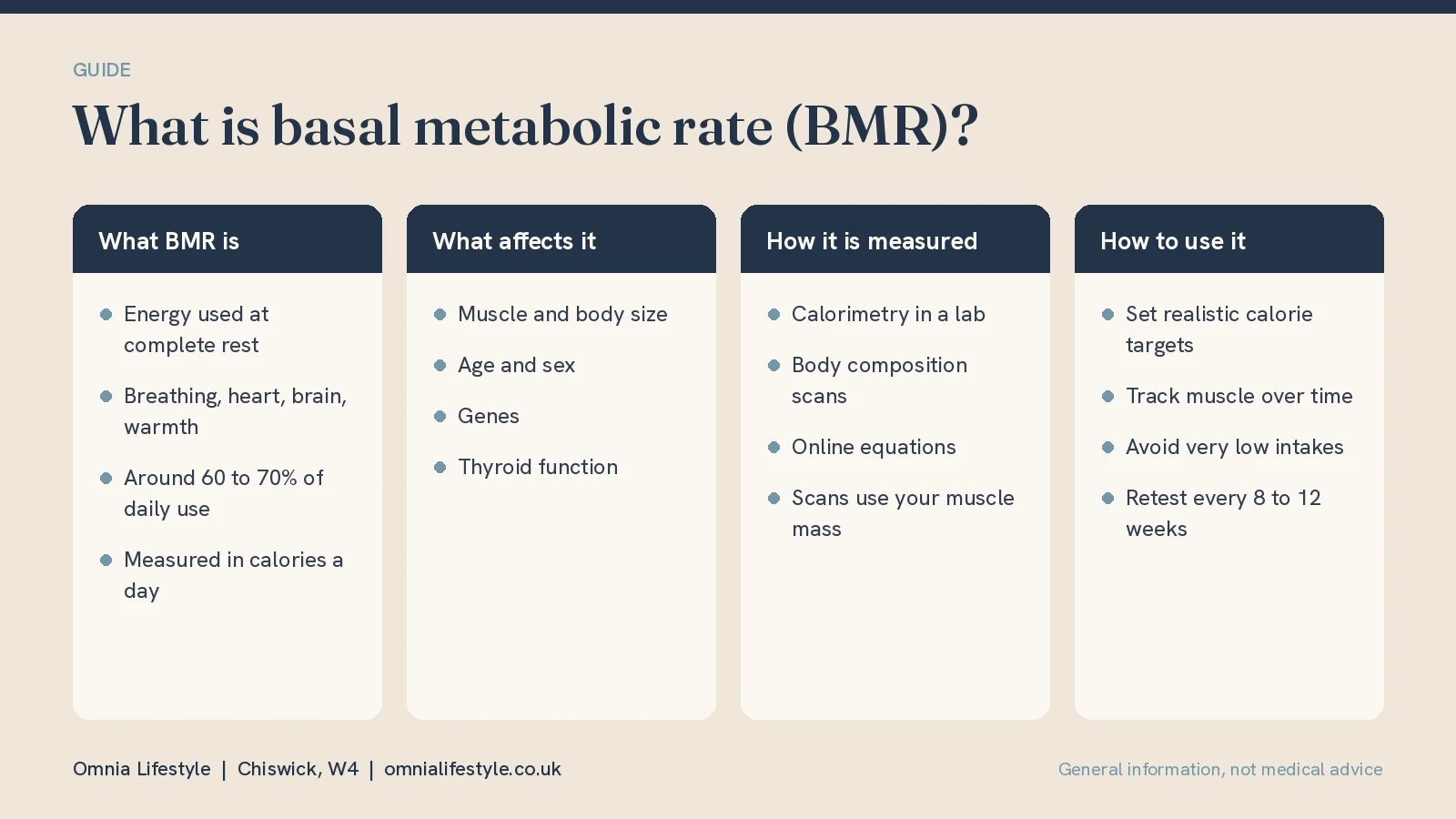 What Is Basal Metabolic Rate (BMR)? A Simple Guide
