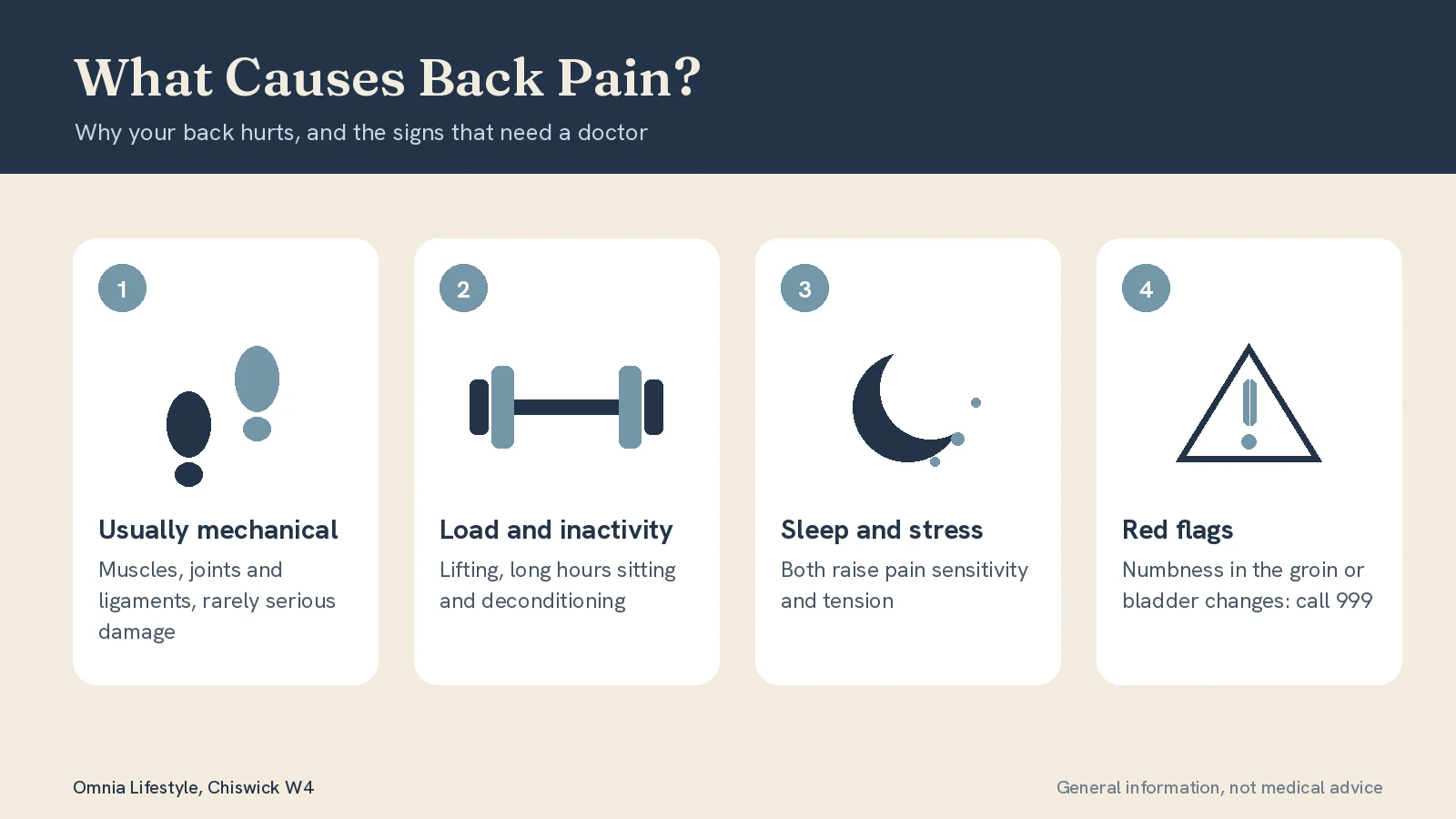 What Causes Back Pain? Lower Back Pain Causes Explained