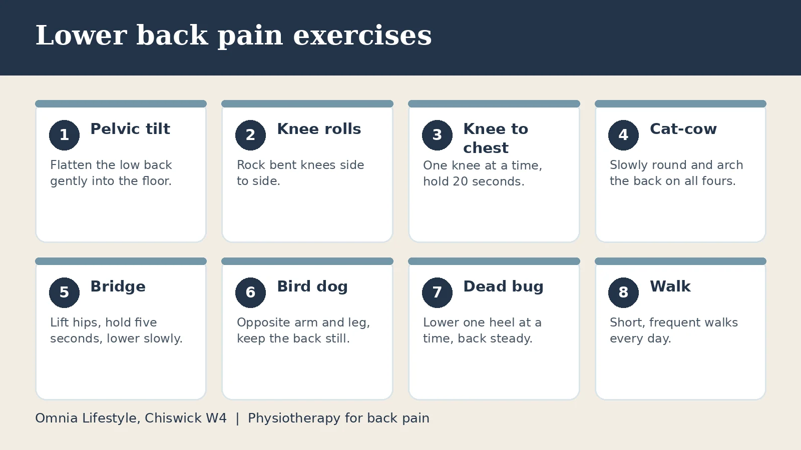 Eight lower back pain exercises: pelvic tilt, knee rolls, knee to chest, cat-cow, bridge, bird dog, dead bug and walking