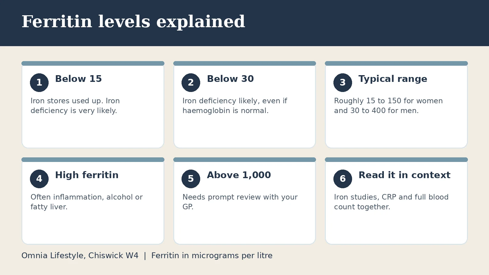 Ferritin levels explained: low, typical and high ferritin ranges in micrograms per litre