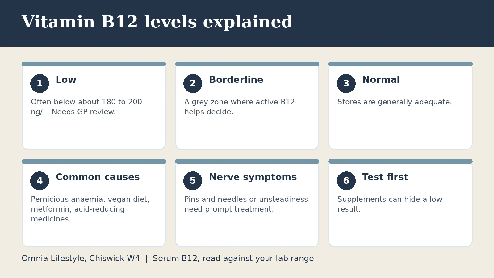Vitamin B12 Levels Explained: Low, Borderline and High