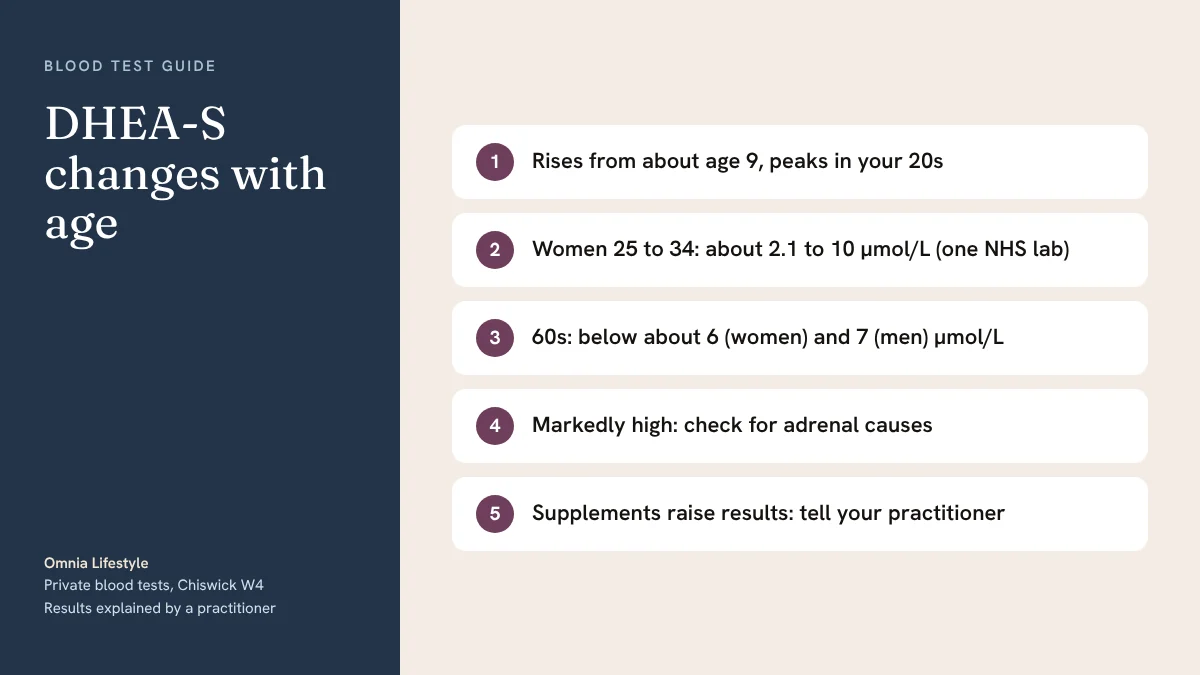 DHEA-S changes with age