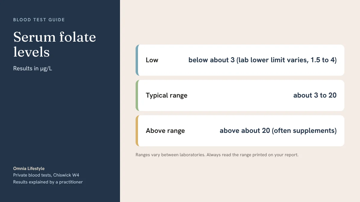 Serum folate levels