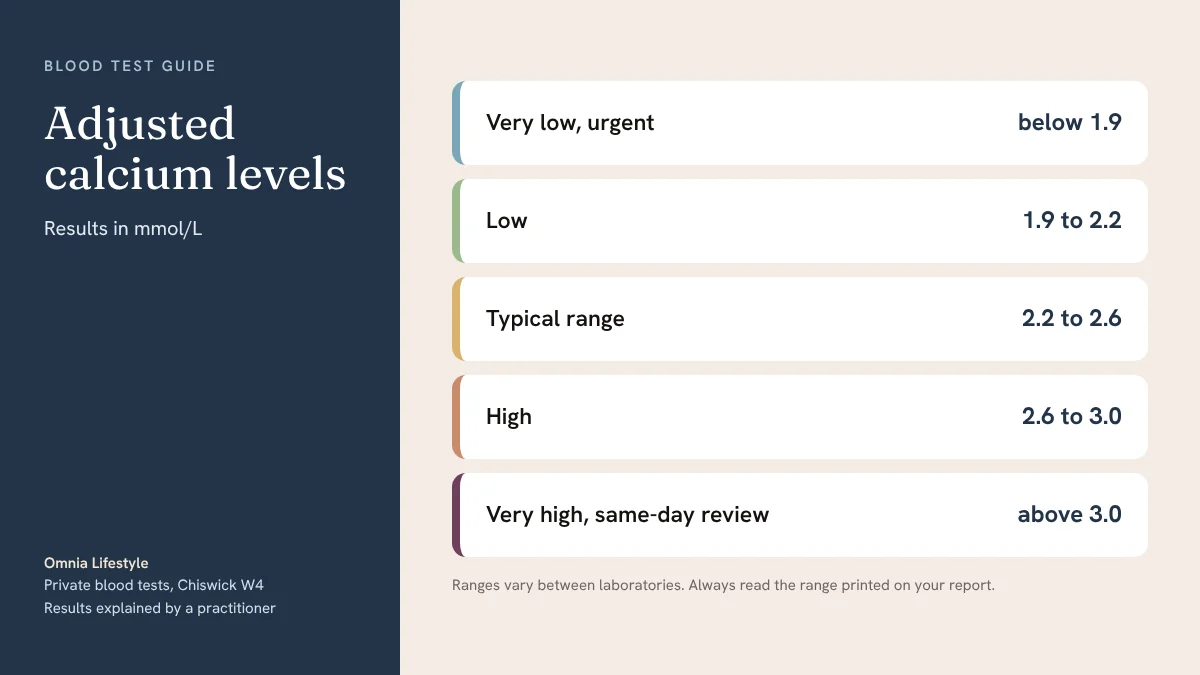 Calcium Levels Explained: Adjusted Calcium, High and Low