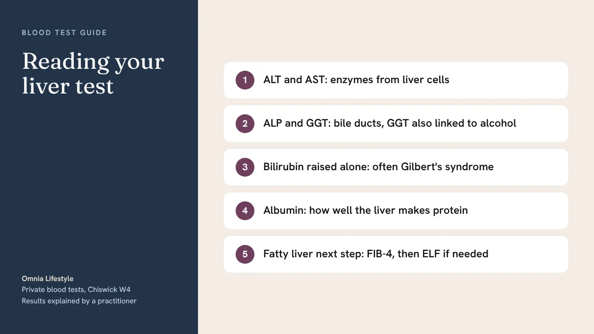 Liver Function Test Results Explained: ALT, GGT, ALP and More
