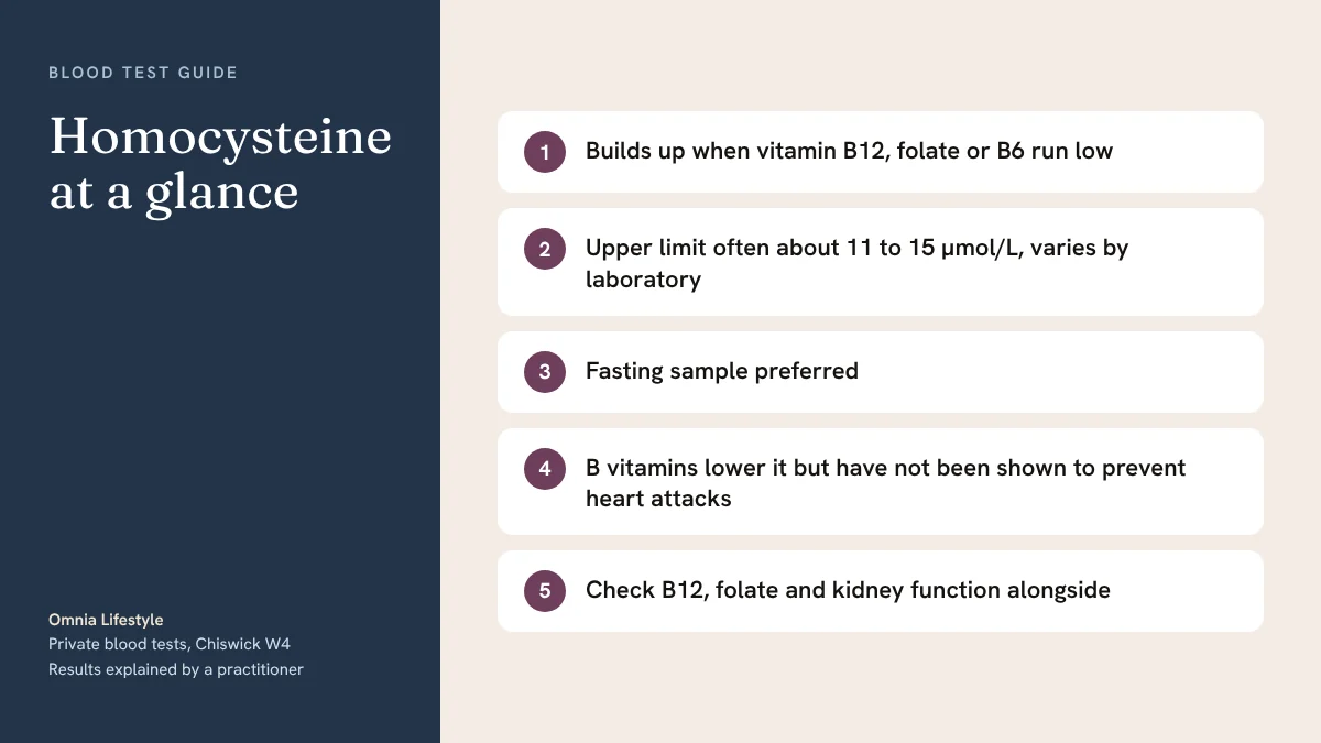 Homocysteine at a glance
