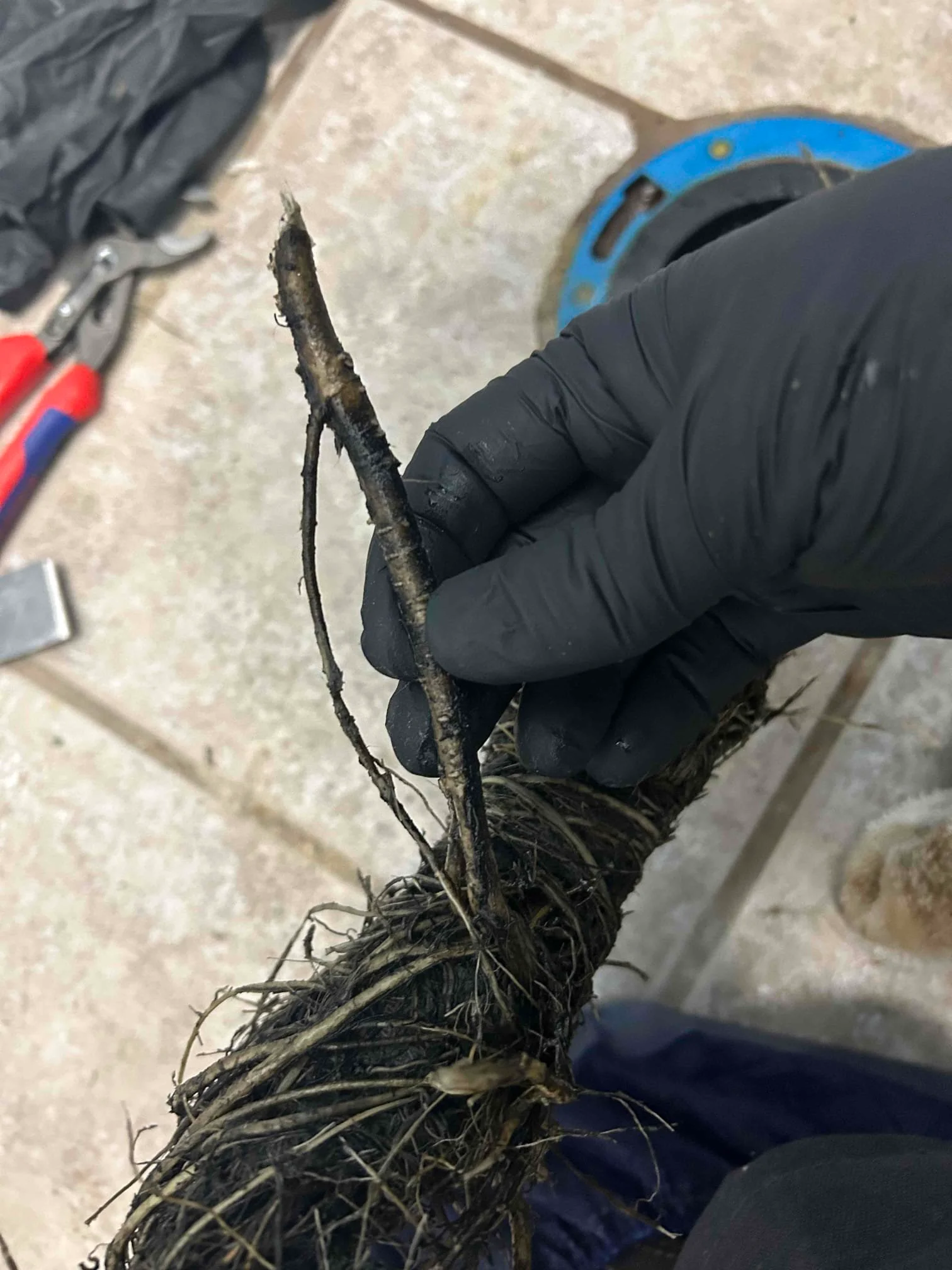 Fix clogged drain Seattle (1)
