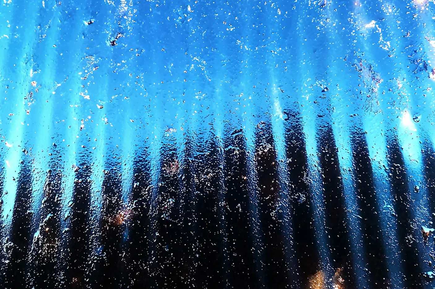 Vertora blog card landscape image