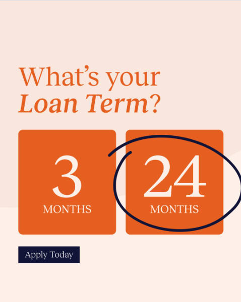 What's your loan term?