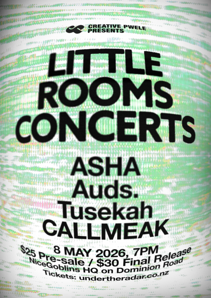 Little Rooms Concerts