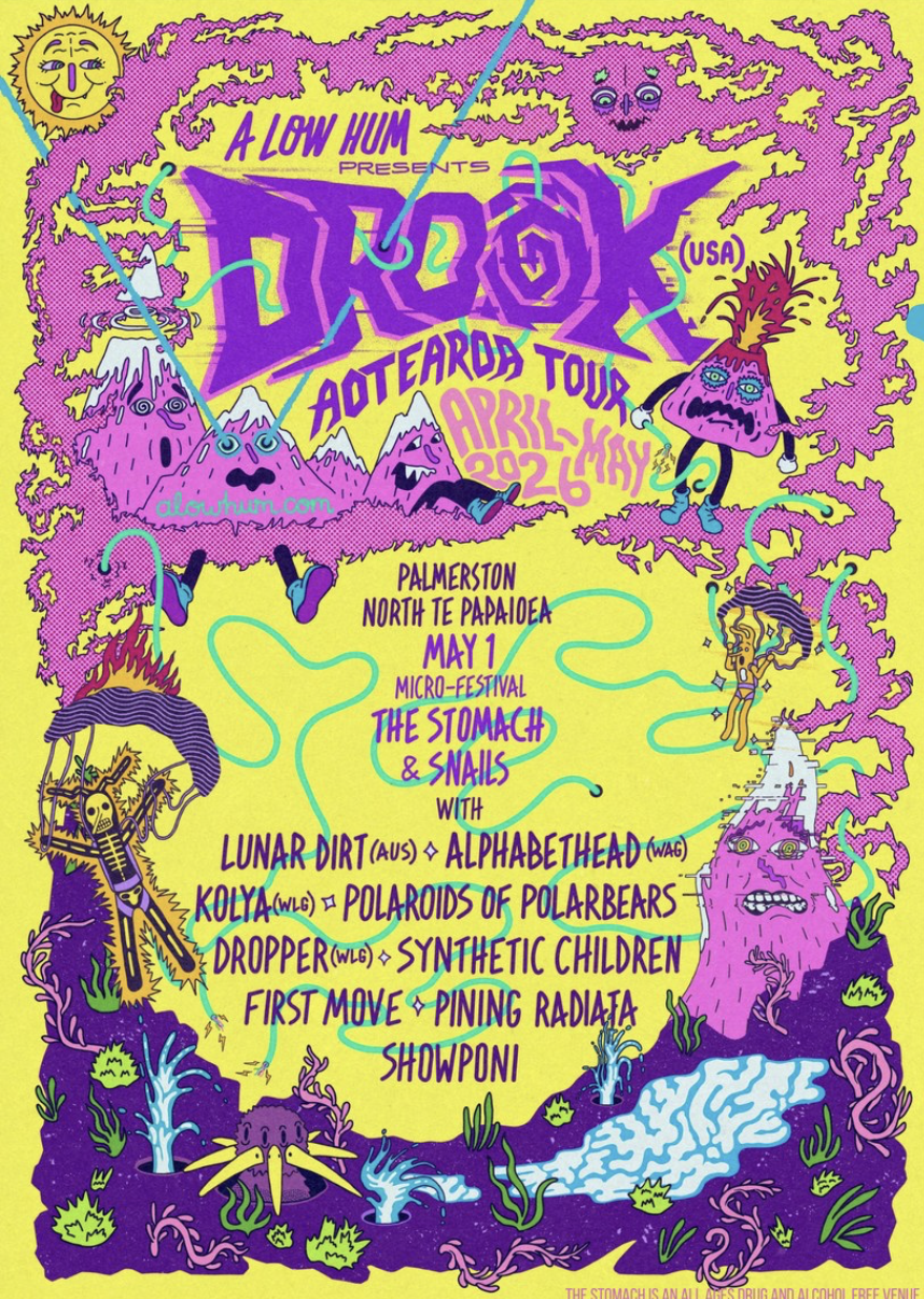 DROOK & ALH Mini Festival