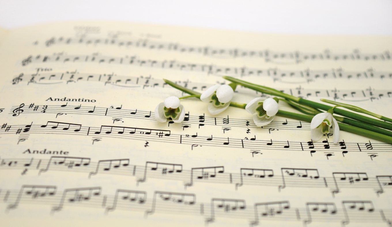 St Dominic's Catholic College: NZ Music Month Performance