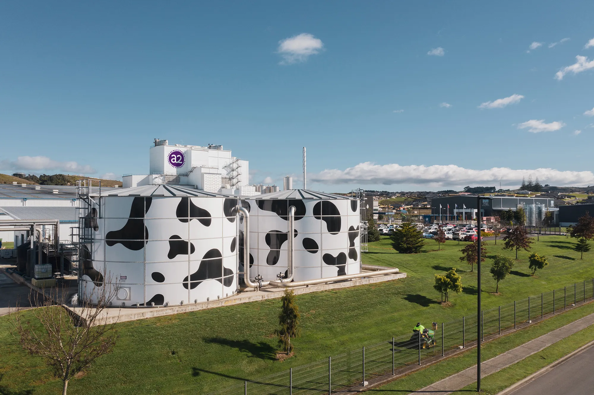 Industrial milk processing facility with large tanks painted with black and white cow spots under a clear blue sky.