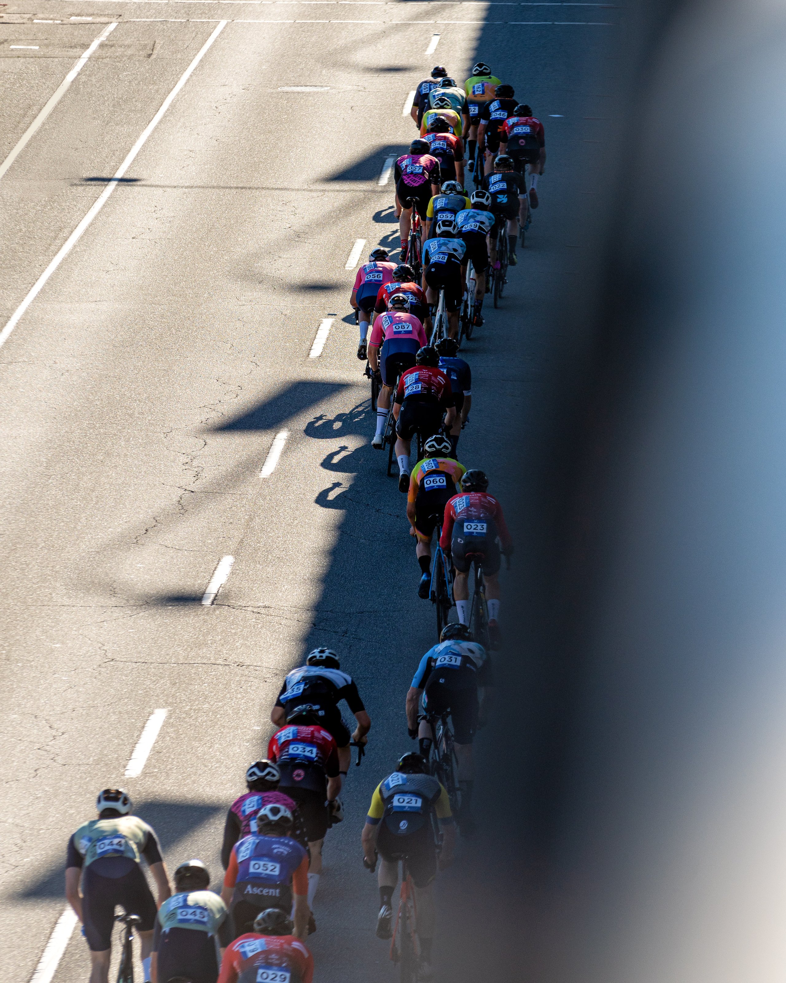 A group of cyclists riding closely together in a single line on a sunlit road, casting long shadows.