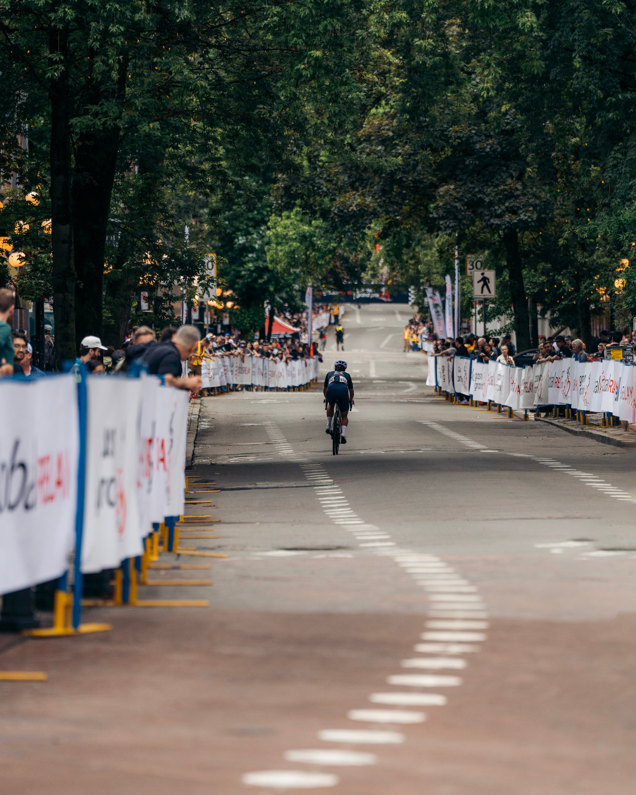 Cyclist riding alone on a tree-lined city street during a race, with spectators lined along barriers on both sides.