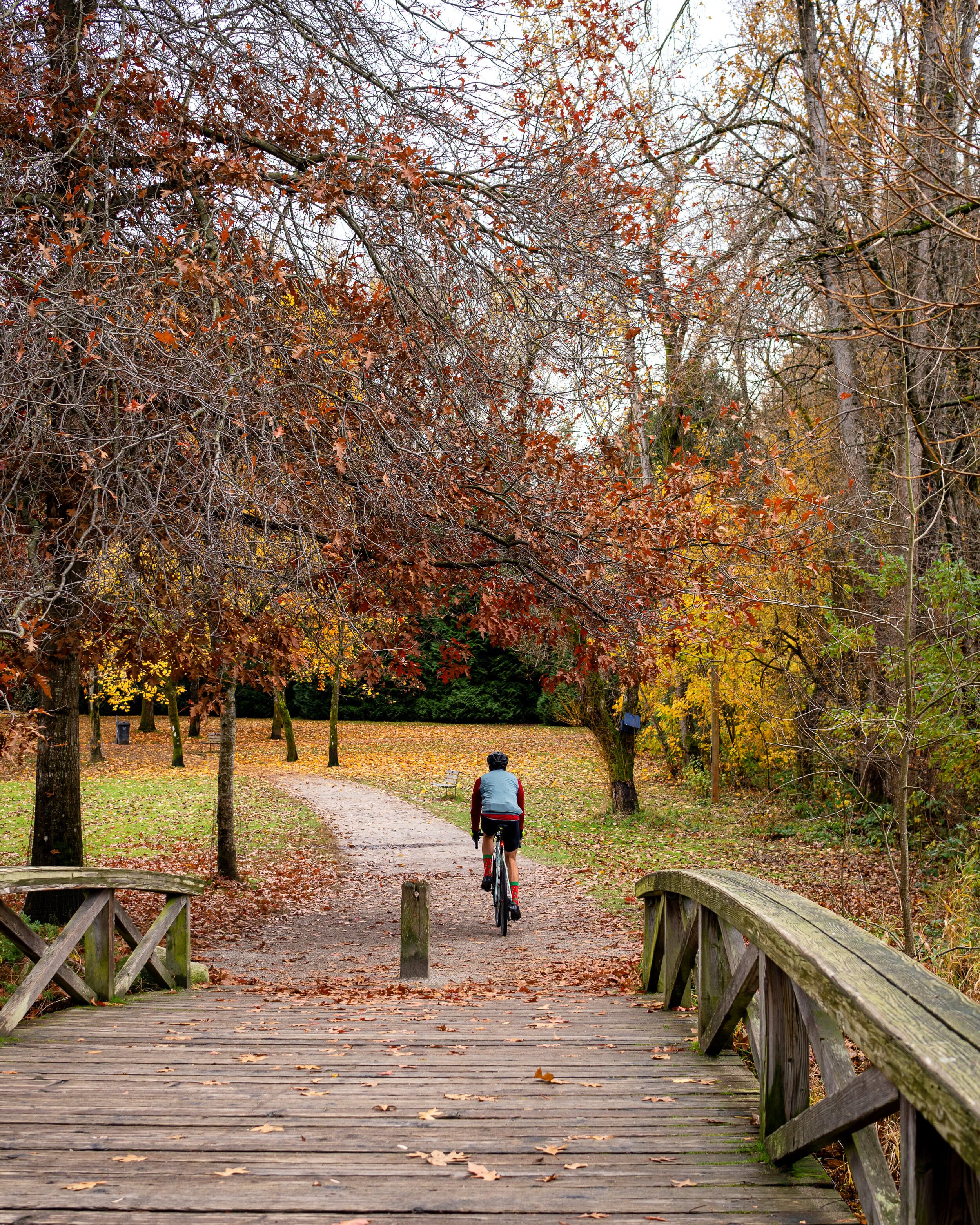Person cycling on a path in a park during autumn with fallen leaves and a wooden bridge in the foreground.