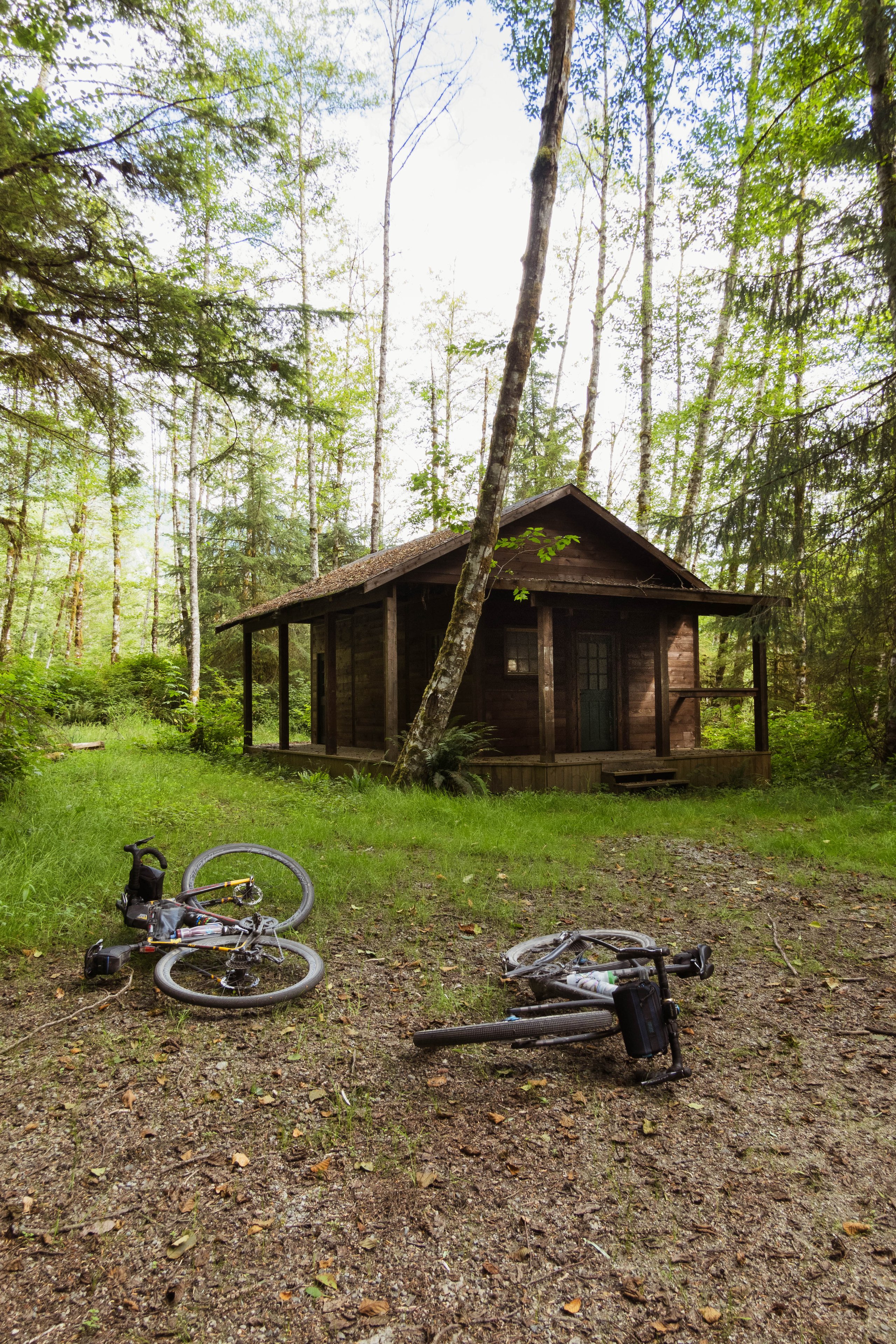 Two bicycles lying on the ground in front of a small wooden cabin surrounded by green trees.