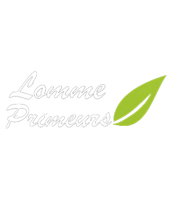 Lomme
