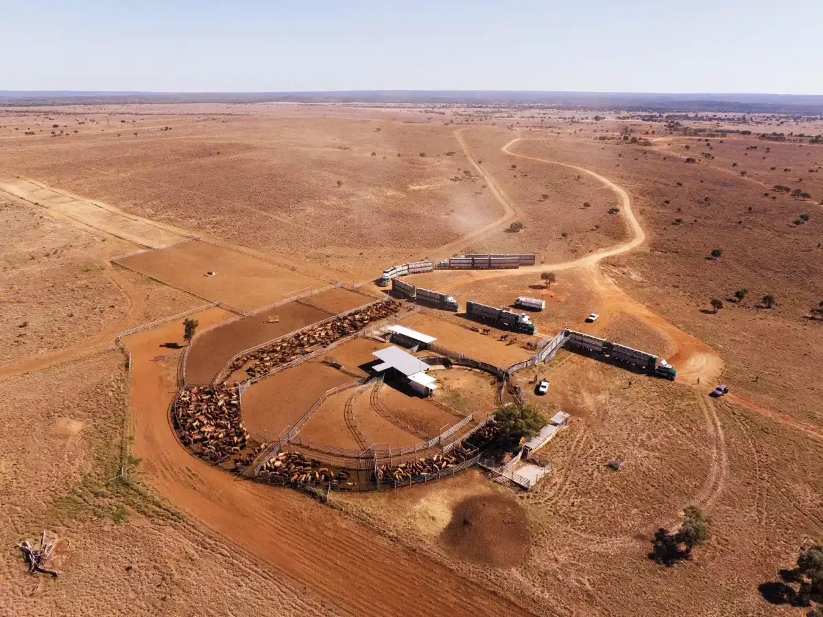 Aerial view of cattle yards on an outback station