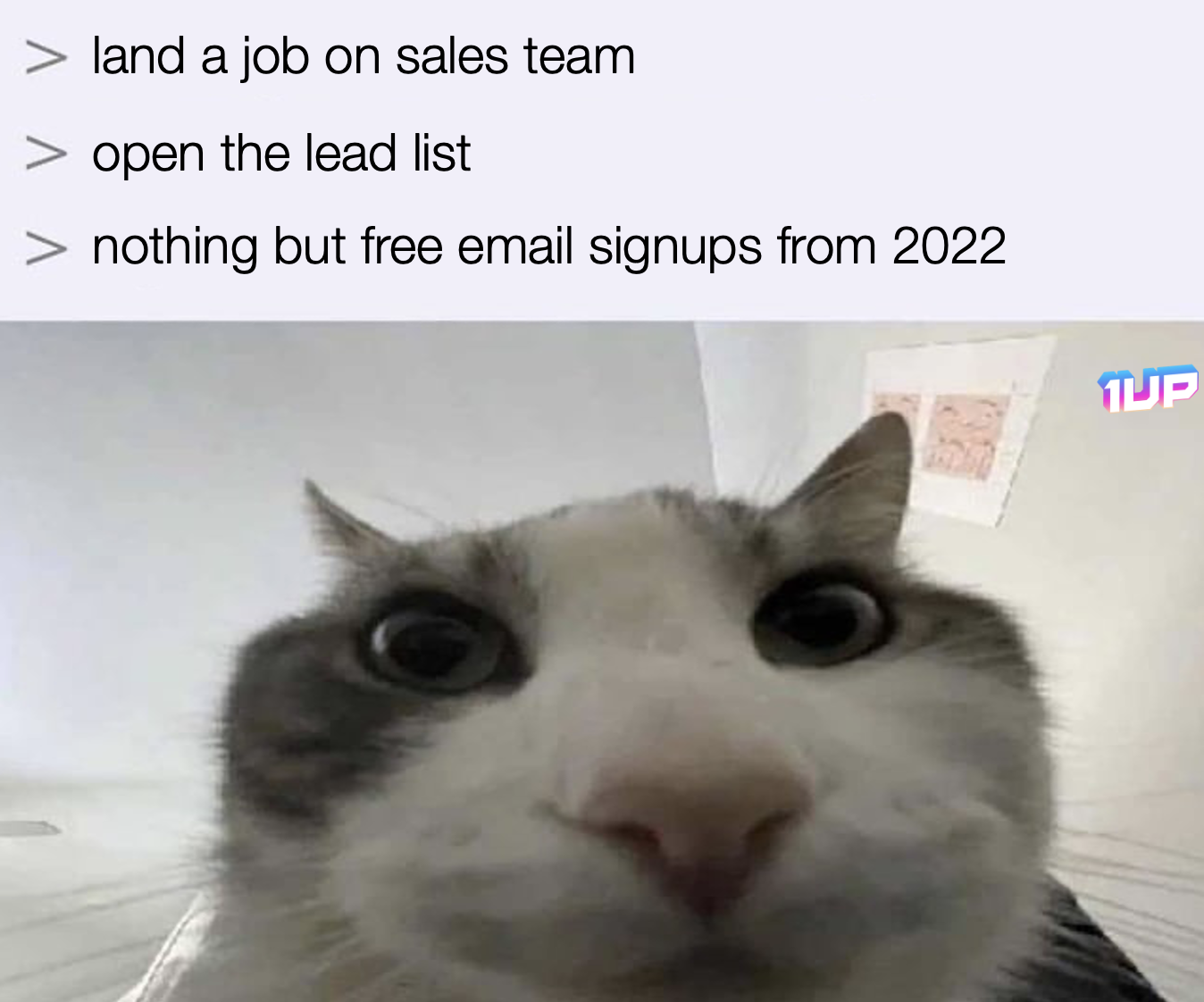 Sales lead list meme Sales lead list meme