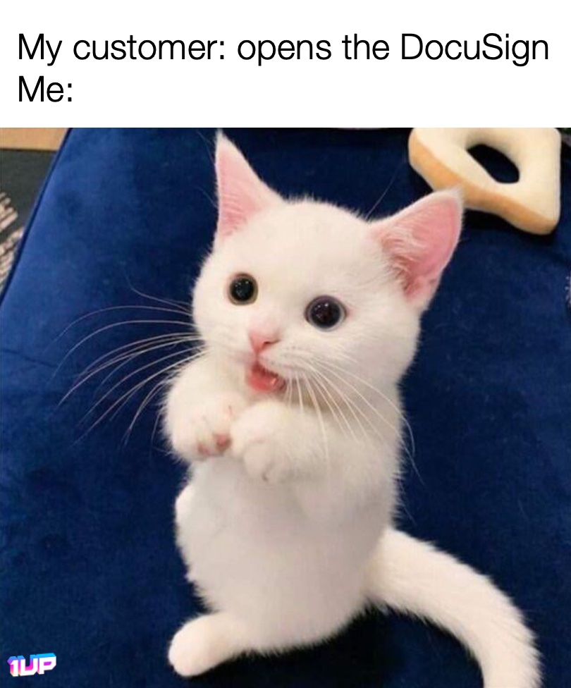 Docusign Meme Docusign Meme