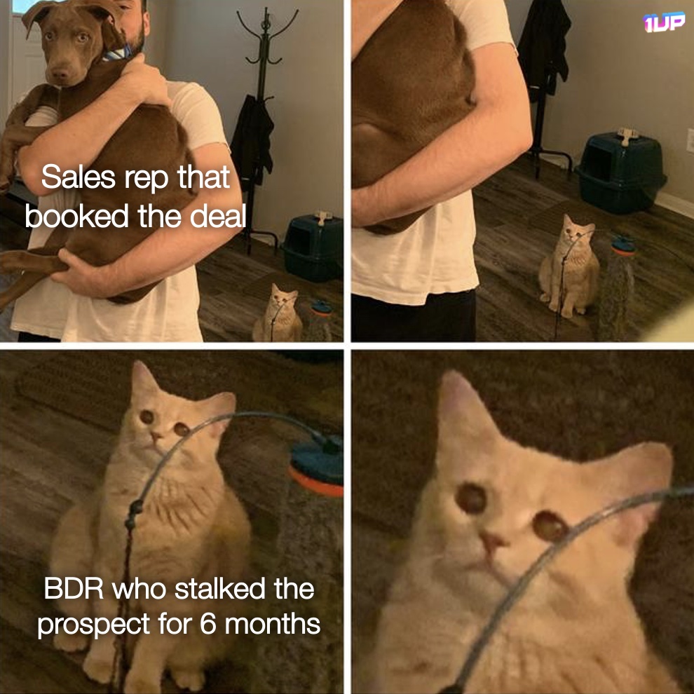 Unappreciated BDR Meme