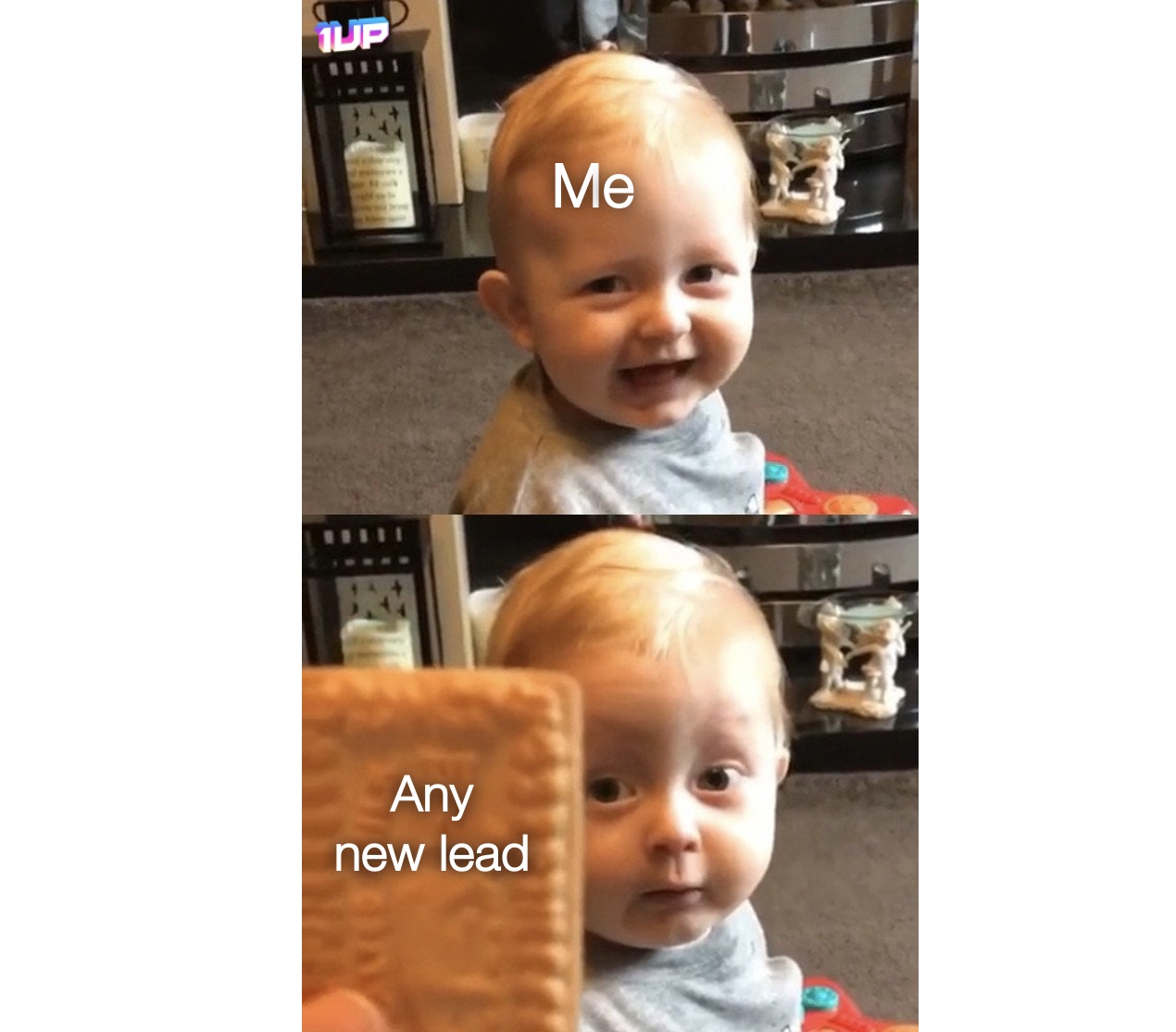 New Marketing Lead Meme New Marketing Lead Meme