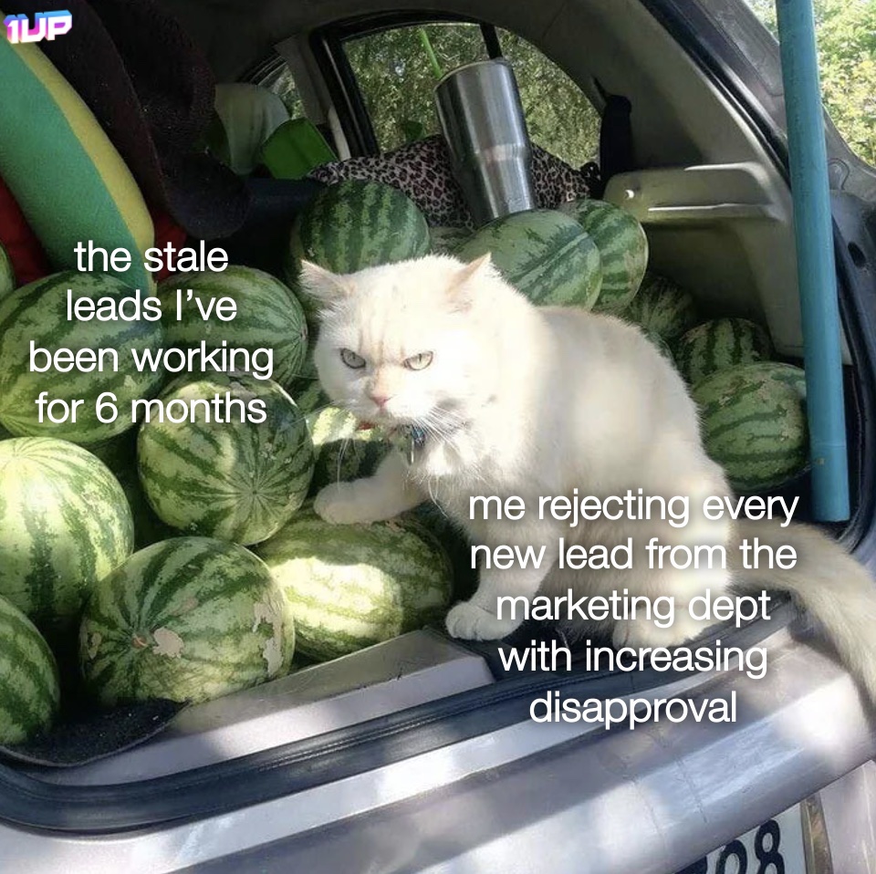 New Leads Meme