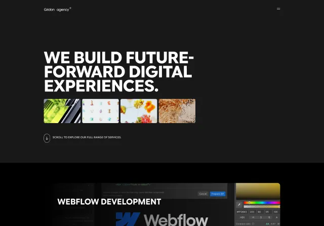 Showcase Image