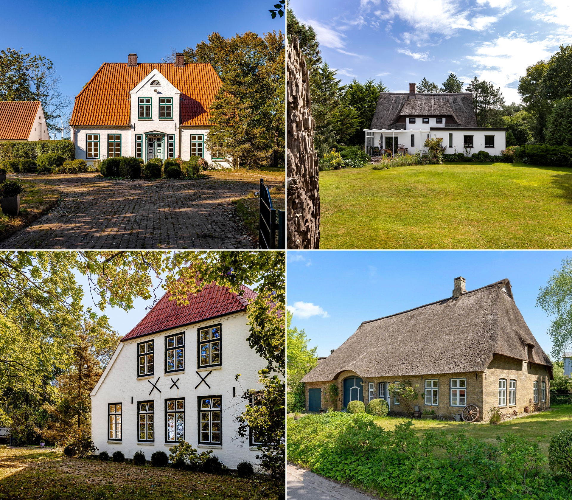 Zwei Frauen richten eine Kamera auf einem Stativ in einem gemütlichen Raum mit Holzdecke und Softbox-Beleuchtung ein.