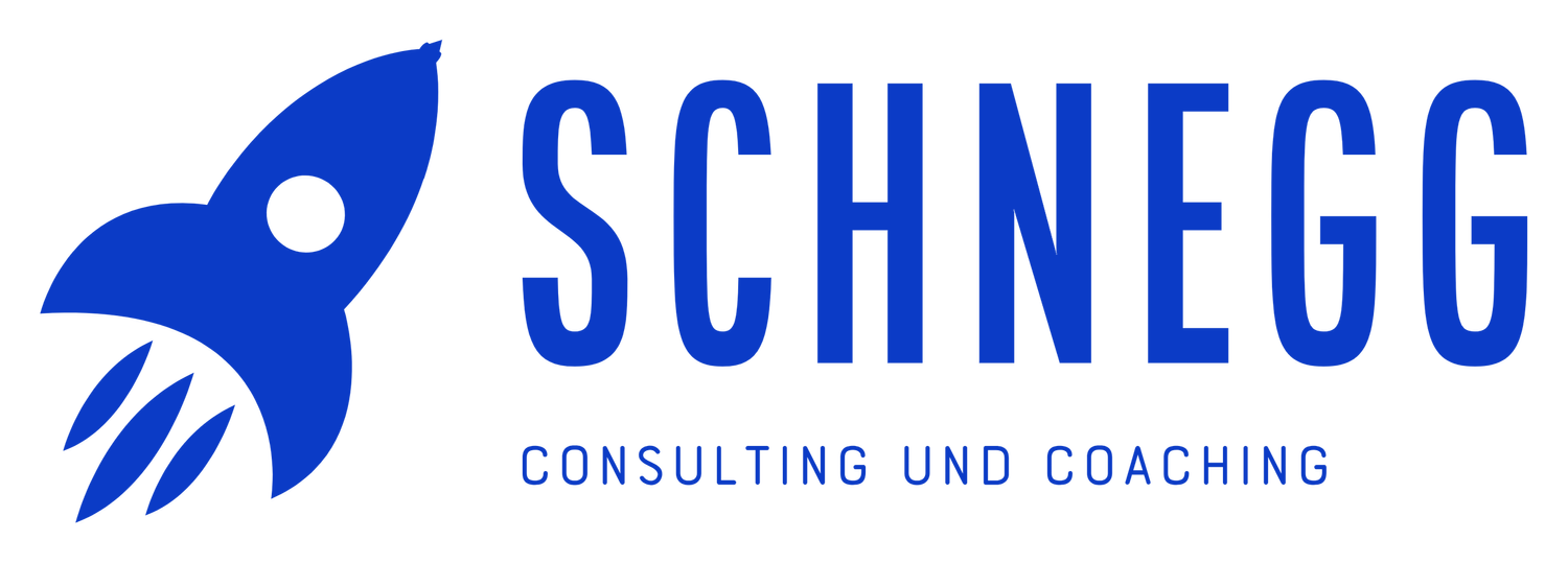 Blaues Raketenlogo neben dem Schriftzug Schnegg Consulting und Coaching.