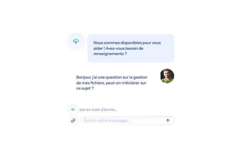 Capture d'écran d'une discussion de chat en français sur la gestion des fichiers avec photo utilisateur.