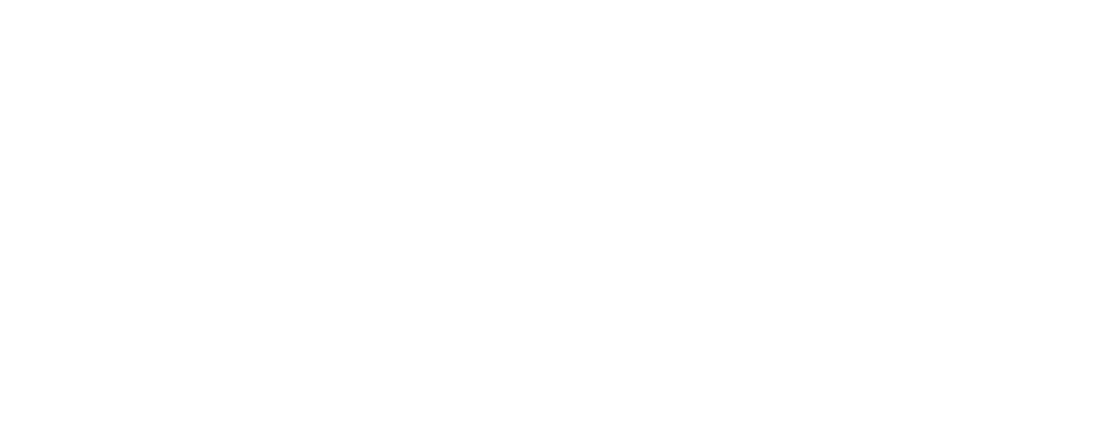 Main logo footer