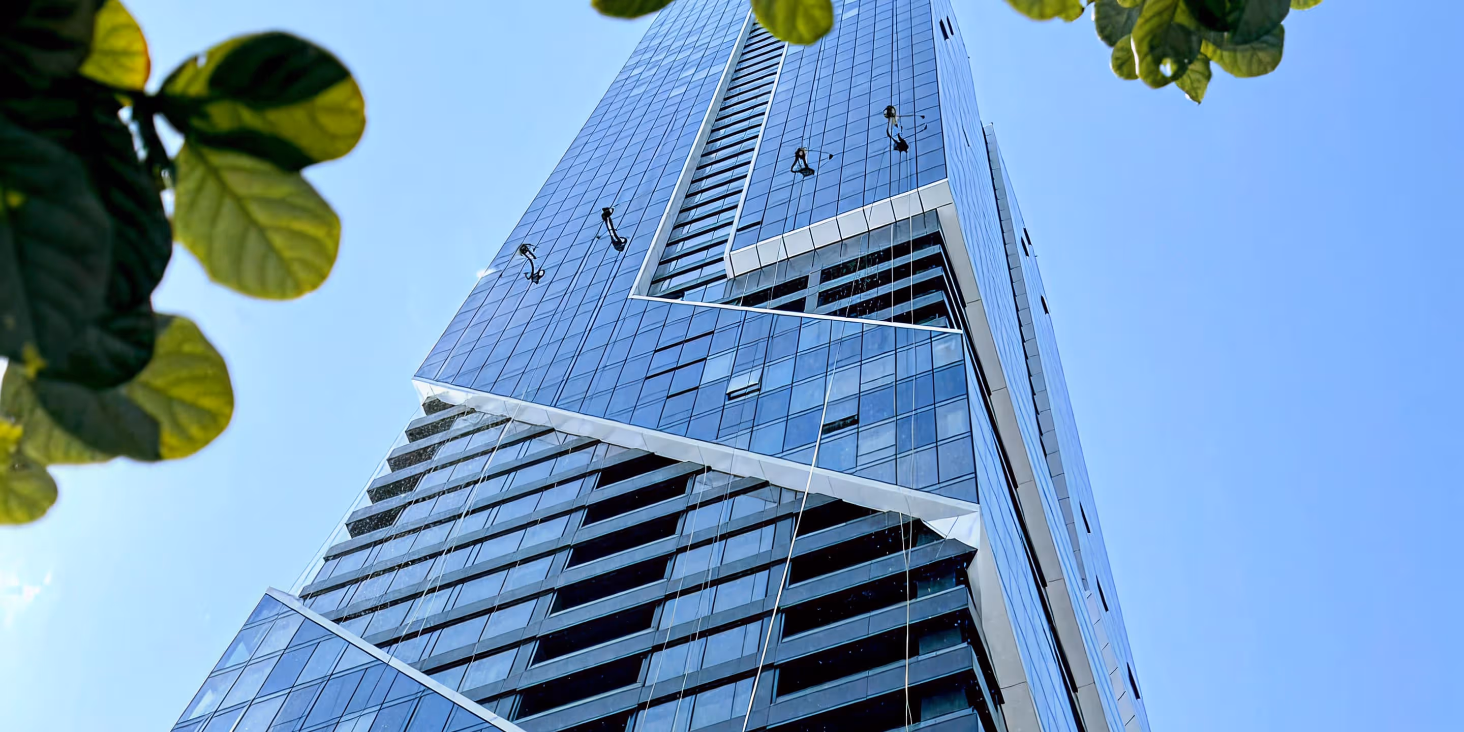 View looking up at a modern glass skyscraper with window washers cleaning its facade against a clear blue sky, framed by green leaves.