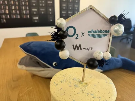 Cybersicherheit neu gedacht: Wie Telefónica Deutschland mit dem Startup Whalebone den Schutz verbessert