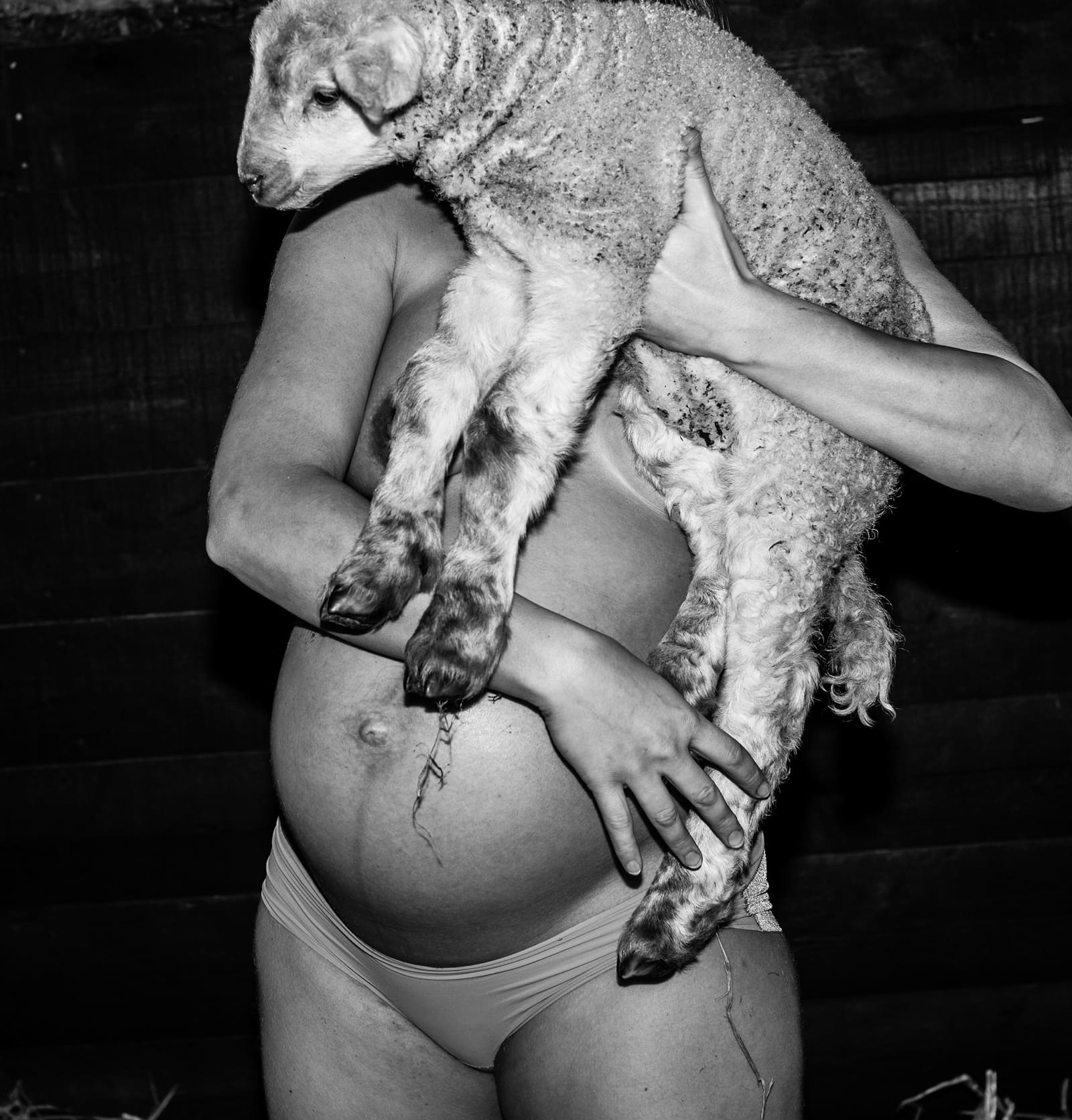 Pregnant person standing in profile holding a lamb against their shoulder in a black and white barn portrait.