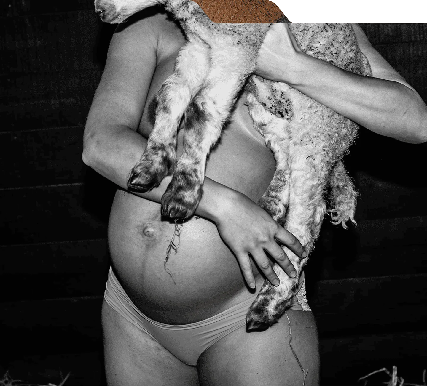 Pregnant person standing in profile holding a lamb against their shoulder in a black and white barn portrait.