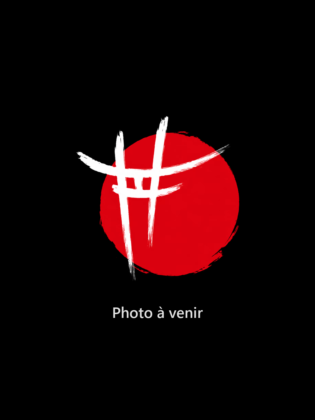 Photo du plat à venir, logo Zen Garden